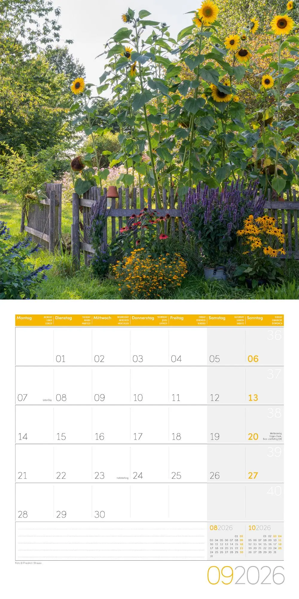Bild: 9783838446165 | Landleben Broschürenkalender 2026 - 30x30 - Art12 | GmbH | Kalender