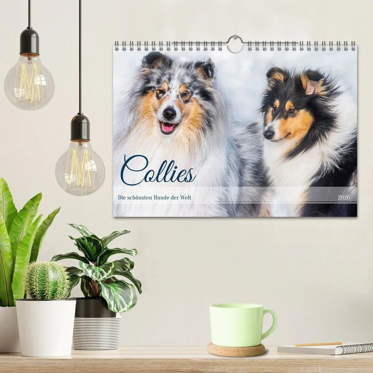 Bild: 9783457356265 | Collies - die schönsten Hunde der Welt (Wandkalender 2026 DIN A4...