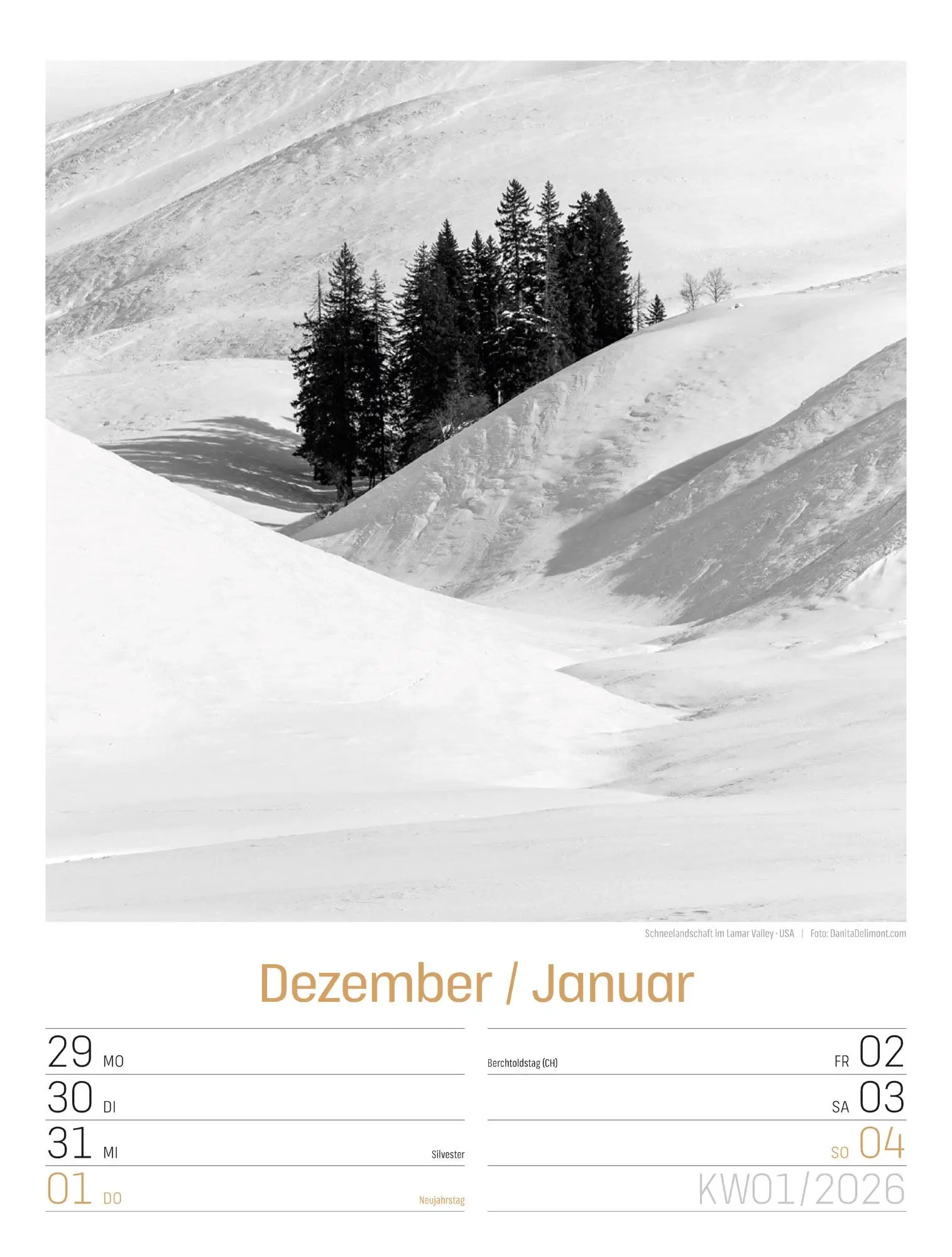 Bild: 9783838436265 | Silent Nature Wochenplaner Kalender 2026 | Ackermann Kunstverlag GmbH