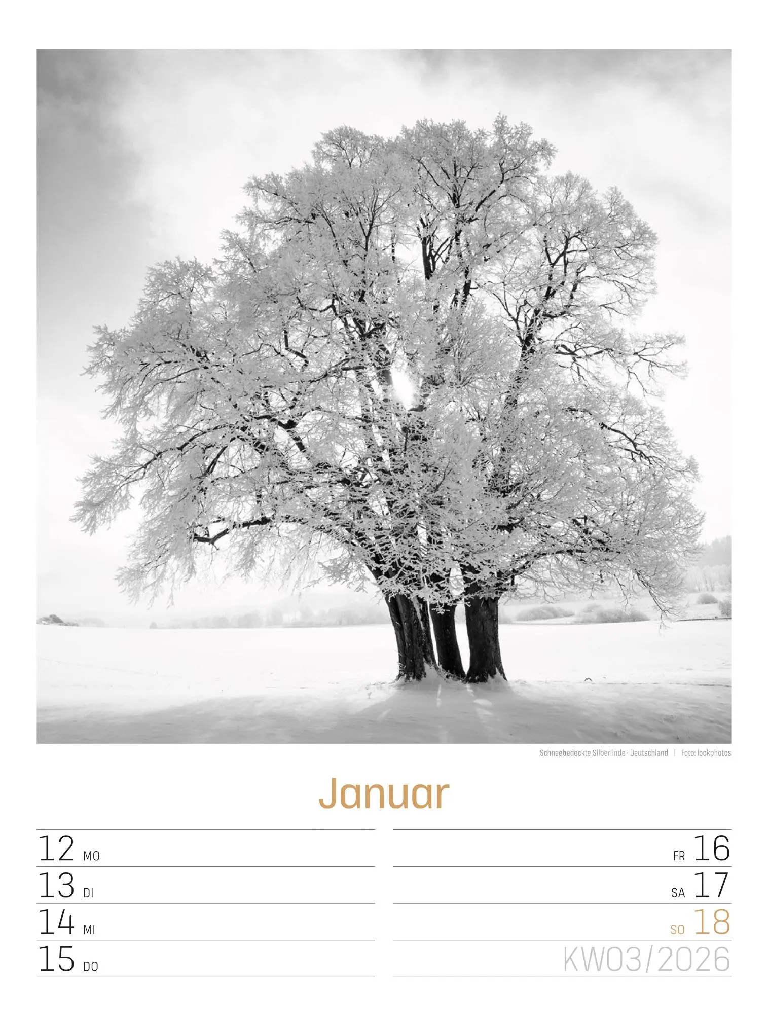 Bild: 9783838436265 | Silent Nature Wochenplaner Kalender 2026 | Ackermann Kunstverlag GmbH