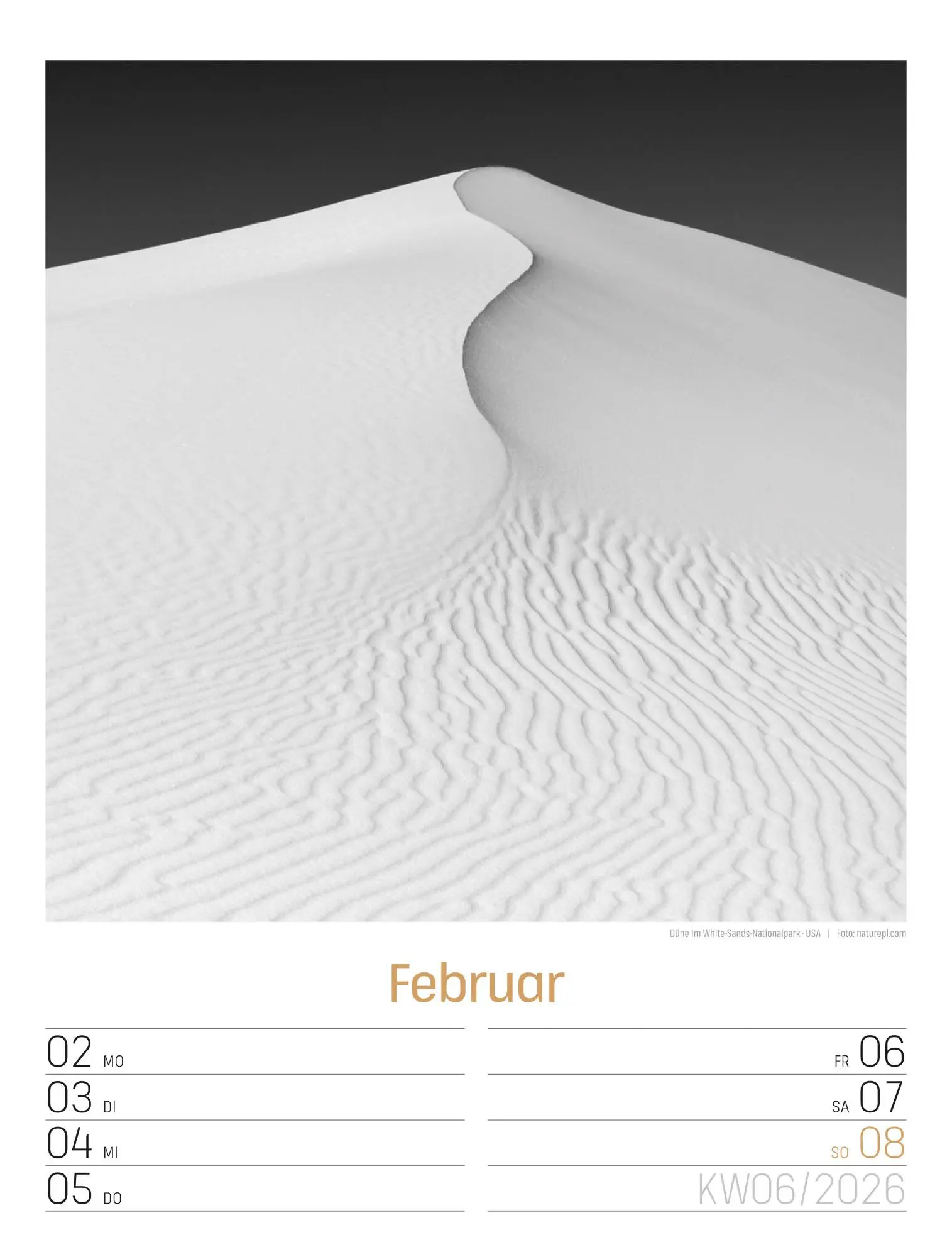 Bild: 9783838436265 | Silent Nature Wochenplaner Kalender 2026 | Ackermann Kunstverlag GmbH