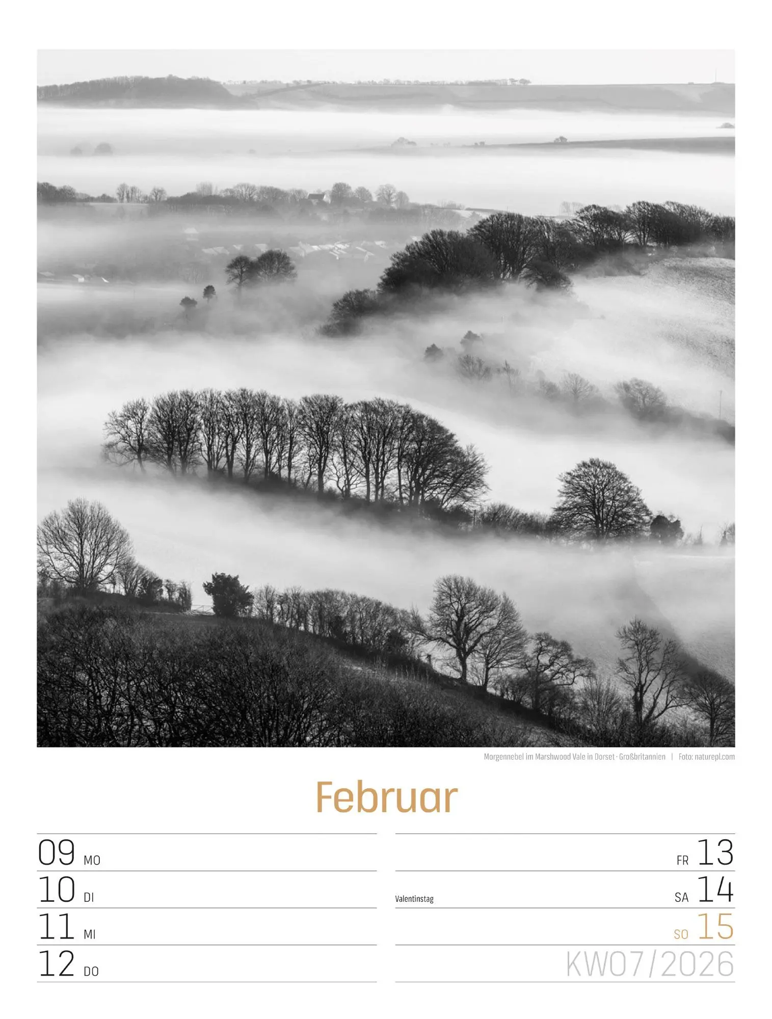 Bild: 9783838436265 | Silent Nature Wochenplaner Kalender 2026 | Ackermann Kunstverlag GmbH