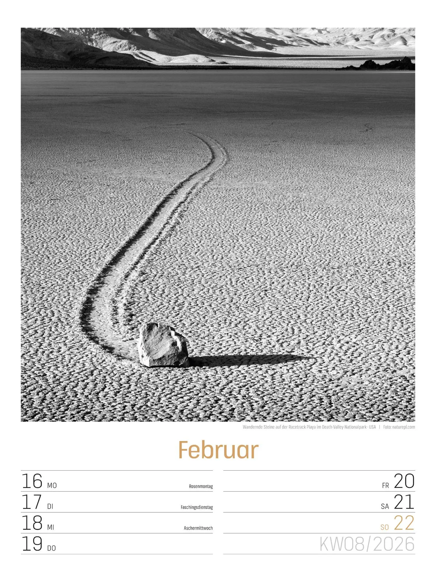 Bild: 9783838436265 | Silent Nature Wochenplaner Kalender 2026 | Ackermann Kunstverlag GmbH