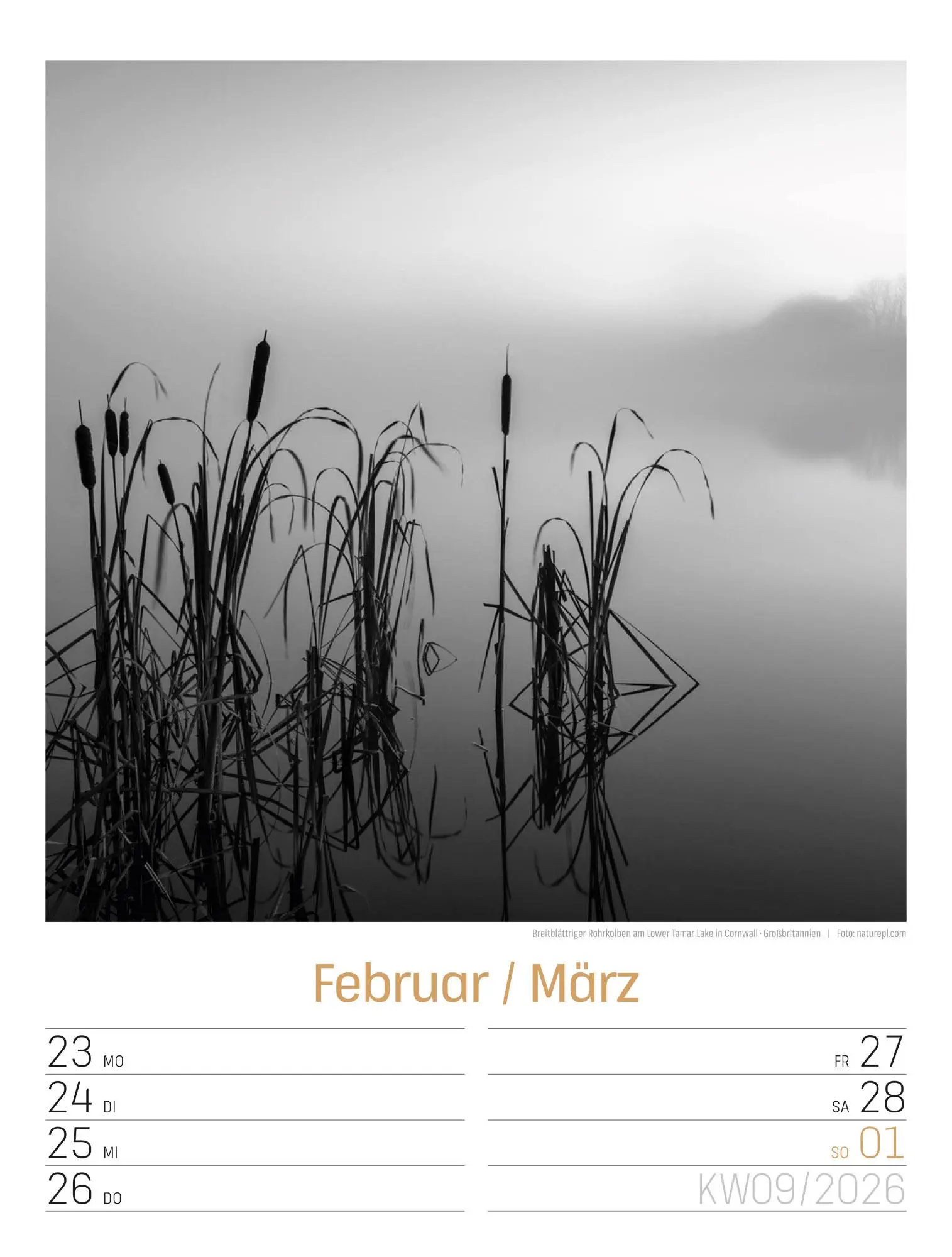Bild: 9783838436265 | Silent Nature Wochenplaner Kalender 2026 | Ackermann Kunstverlag GmbH
