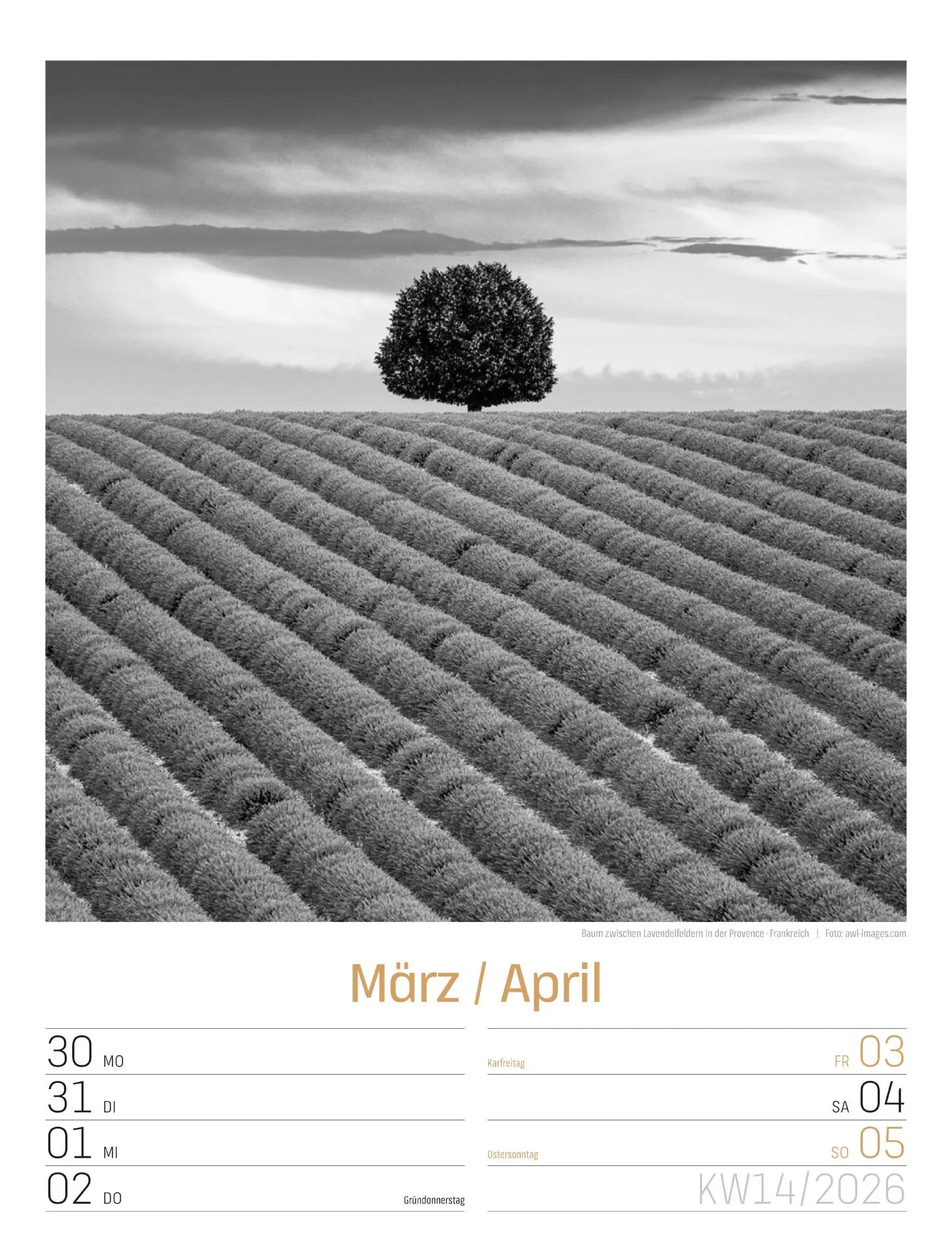 Bild: 9783838436265 | Silent Nature Wochenplaner Kalender 2026 | Ackermann Kunstverlag GmbH