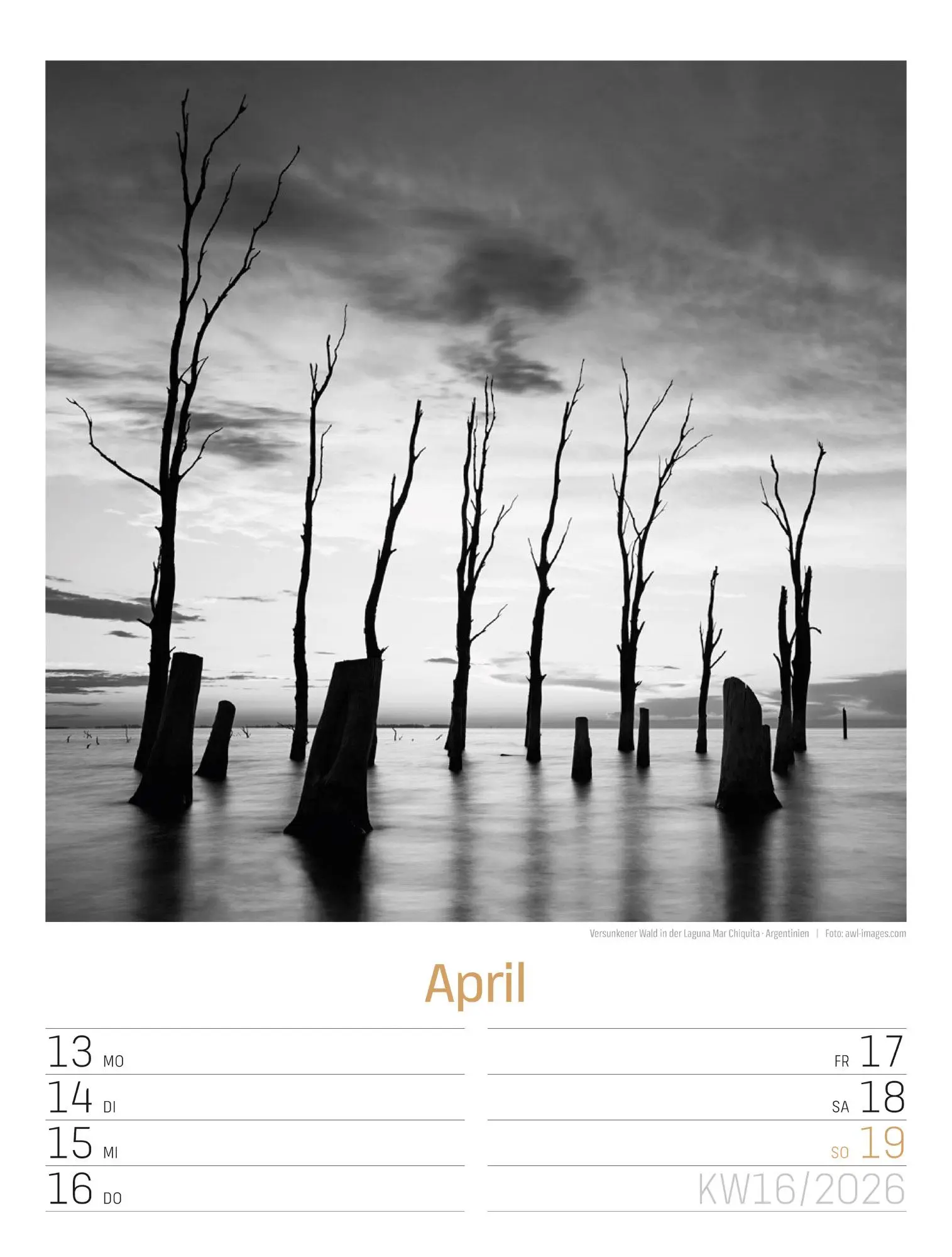Bild: 9783838436265 | Silent Nature Wochenplaner Kalender 2026 | Ackermann Kunstverlag GmbH