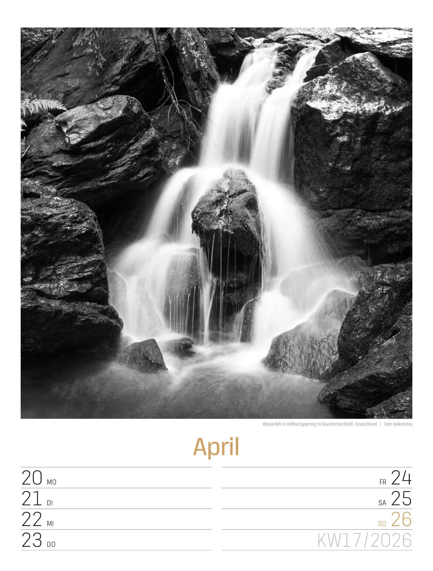 Bild: 9783838436265 | Silent Nature Wochenplaner Kalender 2026 | Ackermann Kunstverlag GmbH