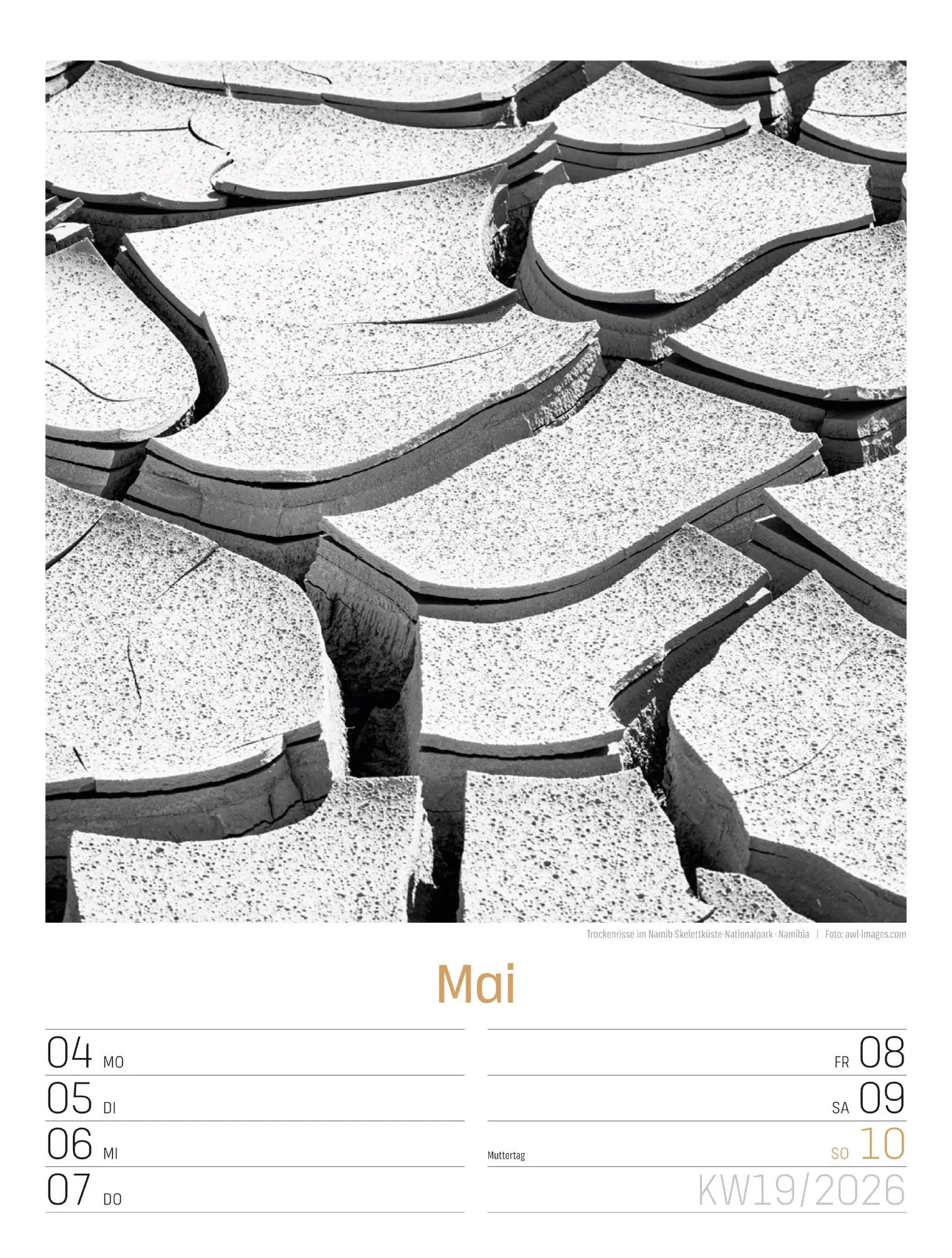 Bild: 9783838436265 | Silent Nature Wochenplaner Kalender 2026 | Ackermann Kunstverlag GmbH