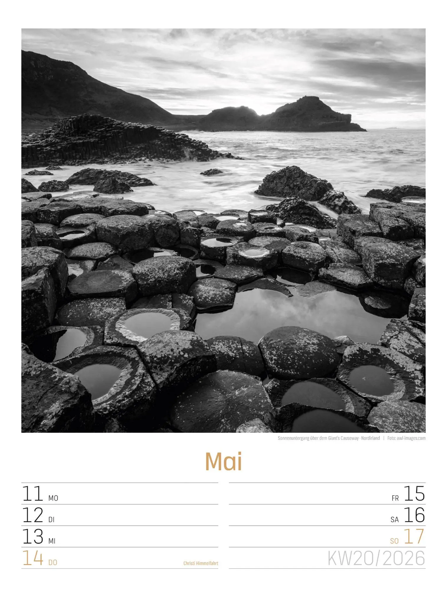 Bild: 9783838436265 | Silent Nature Wochenplaner Kalender 2026 | Ackermann Kunstverlag GmbH