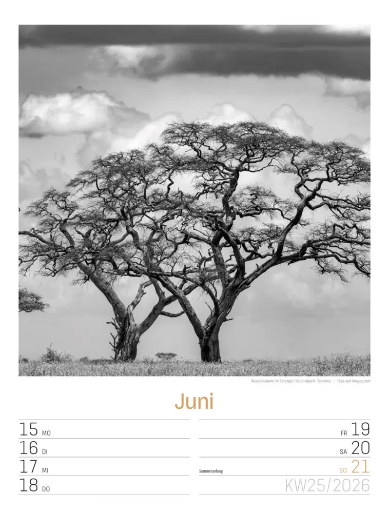 Bild: 9783838436265 | Silent Nature Wochenplaner Kalender 2026 | Ackermann Kunstverlag GmbH