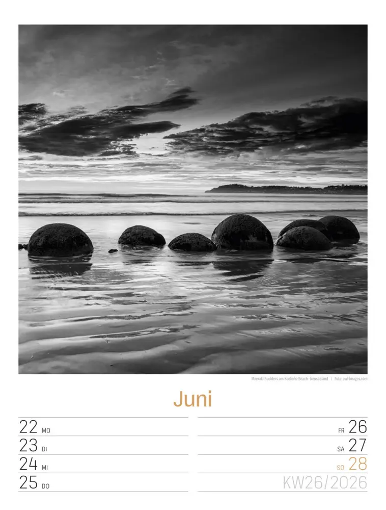 Bild: 9783838436265 | Silent Nature Wochenplaner Kalender 2026 | Ackermann Kunstverlag GmbH