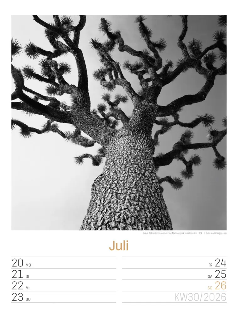 Bild: 9783838436265 | Silent Nature Wochenplaner Kalender 2026 | Ackermann Kunstverlag GmbH