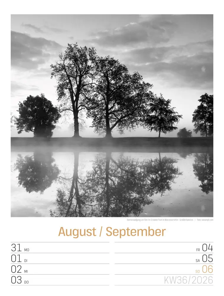 Bild: 9783838436265 | Silent Nature Wochenplaner Kalender 2026 | Ackermann Kunstverlag GmbH