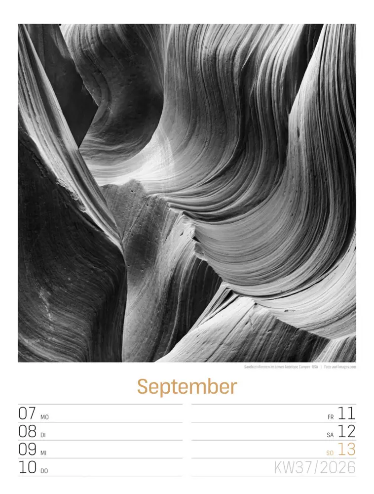 Bild: 9783838436265 | Silent Nature Wochenplaner Kalender 2026 | Ackermann Kunstverlag GmbH