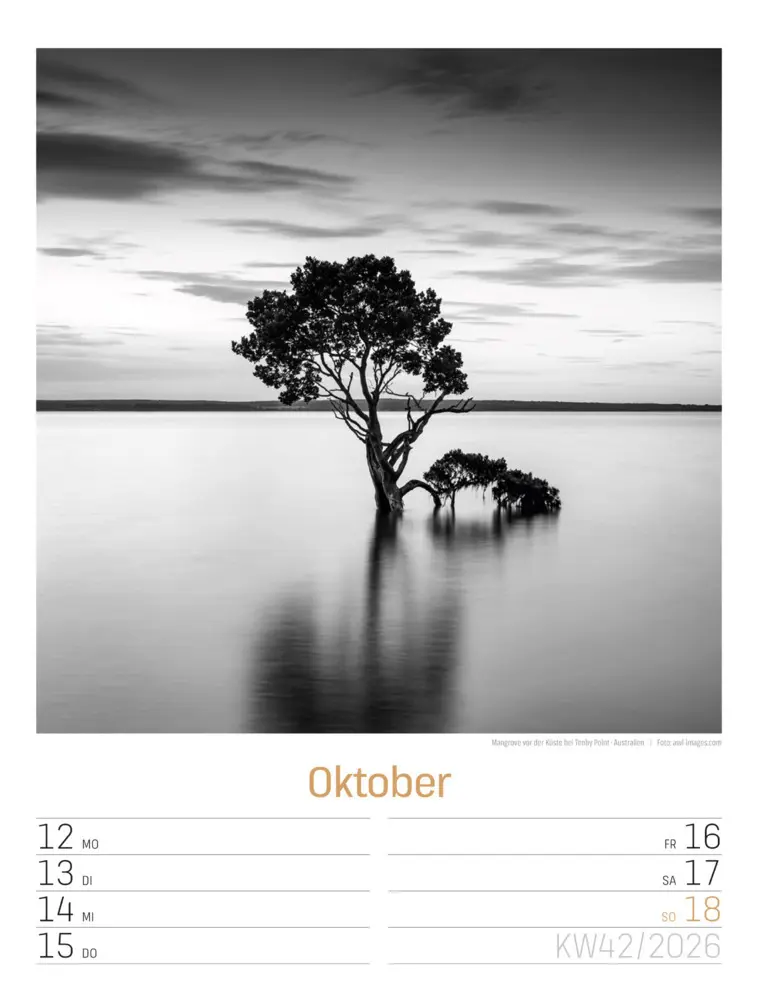 Bild: 9783838436265 | Silent Nature Wochenplaner Kalender 2026 | Ackermann Kunstverlag GmbH