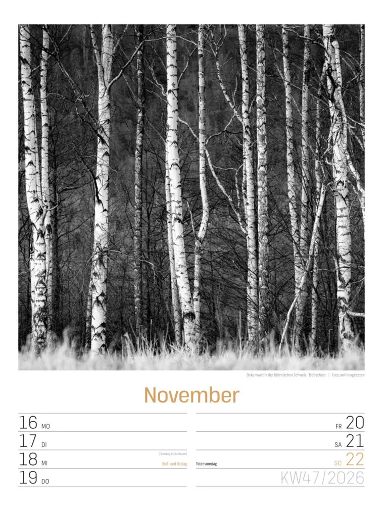 Bild: 9783838436265 | Silent Nature Wochenplaner Kalender 2026 | Ackermann Kunstverlag GmbH