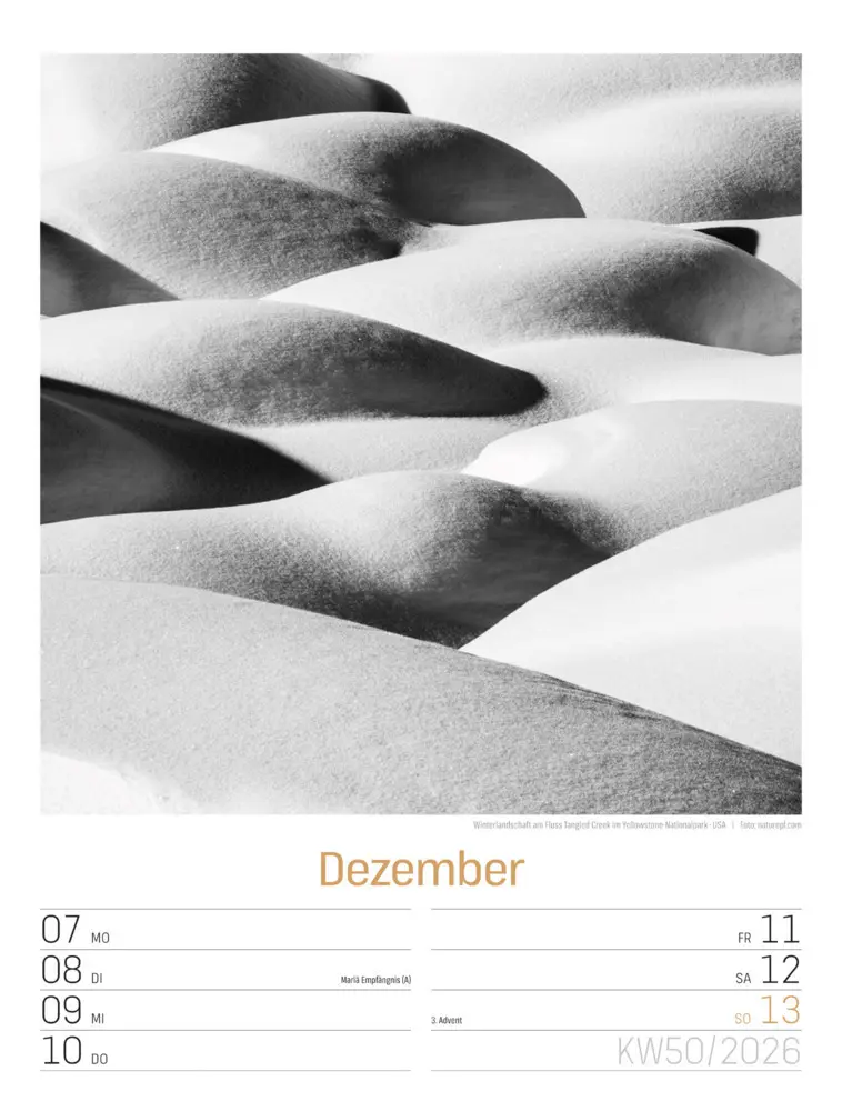Bild: 9783838436265 | Silent Nature Wochenplaner Kalender 2026 | Ackermann Kunstverlag GmbH
