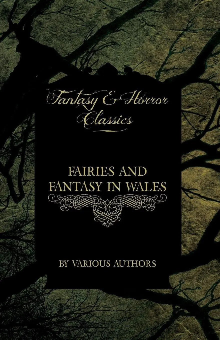 Cover: 9781447406365 | Fairies and Fantasy in Wales - Short Stories from the Mythical Past...