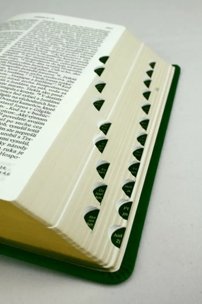 Bild: 9783438086365 | Slowakisch | Bibel, ökumenische Übersetzung moderne Übers. | Buch