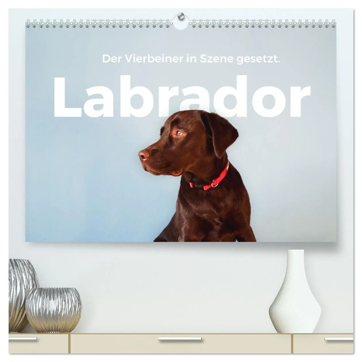 Cover: 9783457416365 | Labrador - Der Vierbeiner in Szene gesetzt. (hochwertiger Premium...