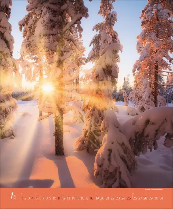 Bild: 9783731886365 | Augenblicke im Wald 2026 | Verlag Korsch | Kalender | Spiralbindung