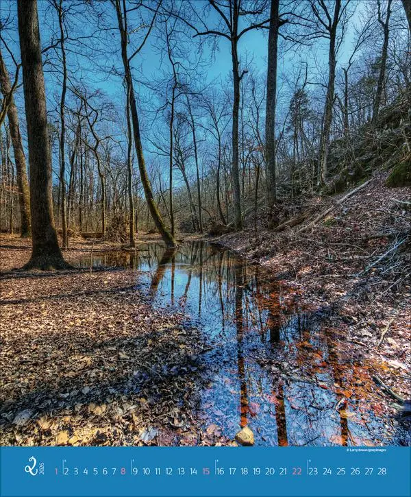 Bild: 9783731886365 | Augenblicke im Wald 2026 | Verlag Korsch | Kalender | Spiralbindung