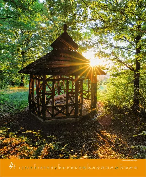 Bild: 9783731886365 | Augenblicke im Wald 2026 | Verlag Korsch | Kalender | Spiralbindung