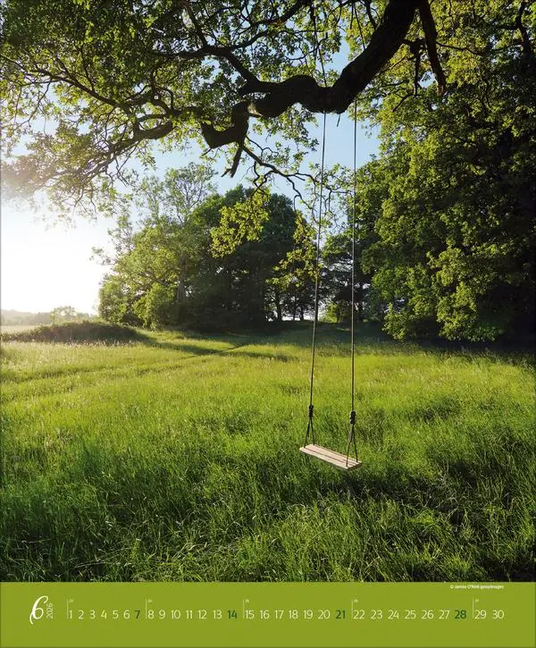 Bild: 9783731886365 | Augenblicke im Wald 2026 | Verlag Korsch | Kalender | Spiralbindung