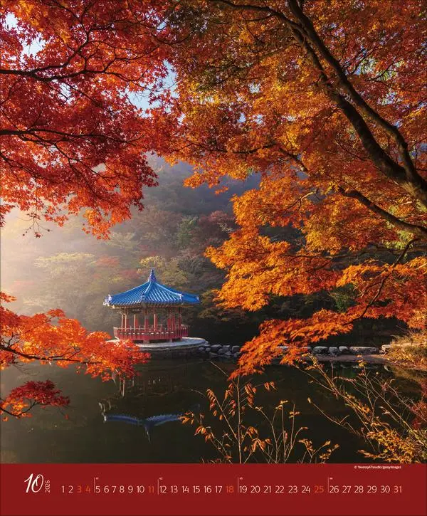 Bild: 9783731886365 | Augenblicke im Wald 2026 | Verlag Korsch | Kalender | Spiralbindung
