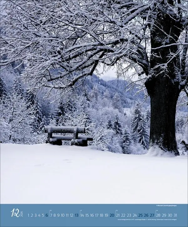 Bild: 9783731886365 | Augenblicke im Wald 2026 | Verlag Korsch | Kalender | Spiralbindung