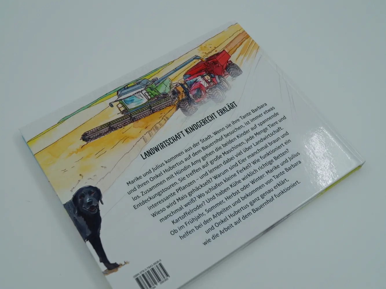 Bild: 9783784356365 | Marike und Julius: Entdecke mit uns den Bauernhof | Höner Guido | Buch