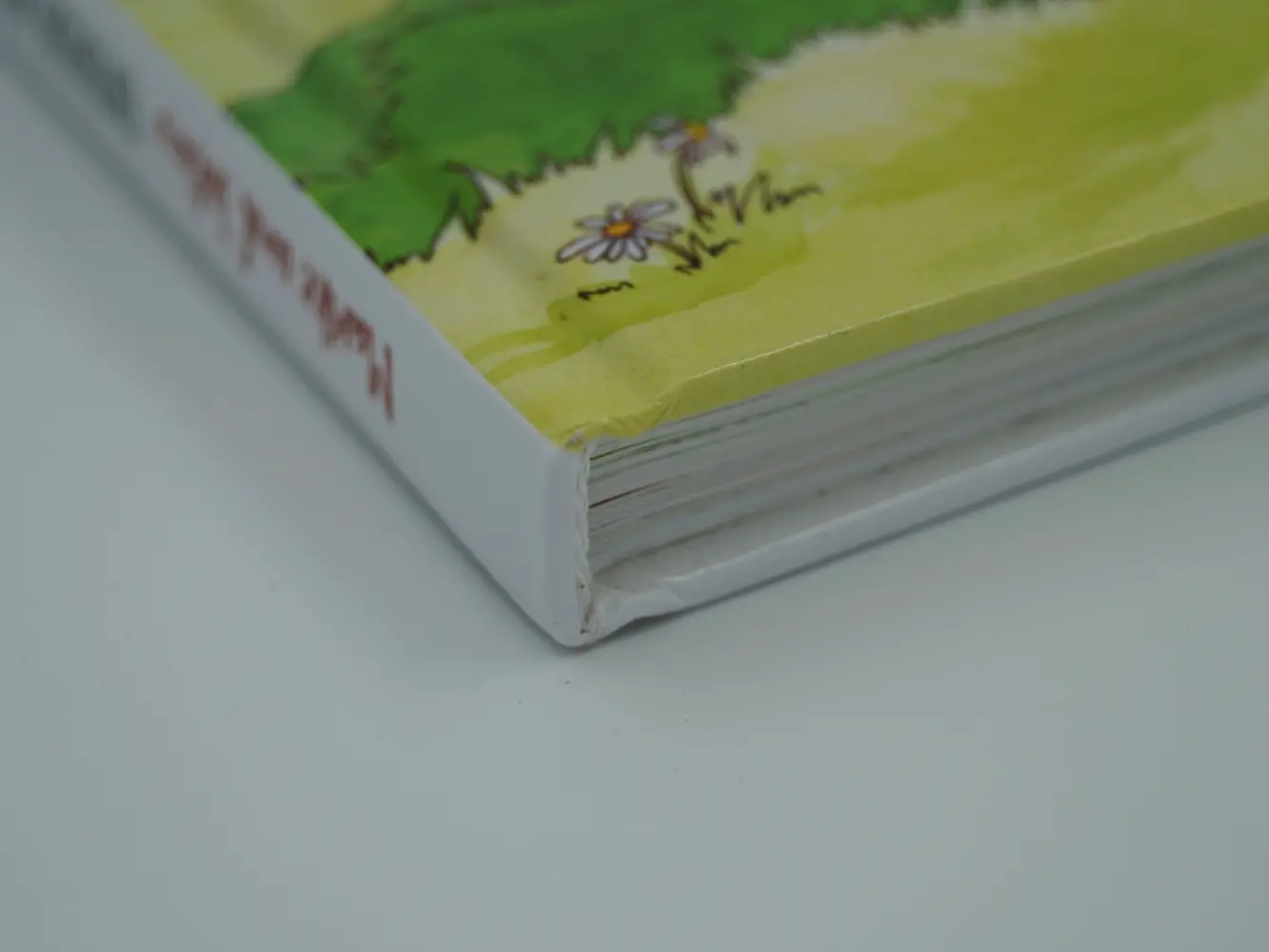 Bild: 9783784356365 | Marike und Julius: Entdecke mit uns den Bauernhof | Höner Guido | Buch