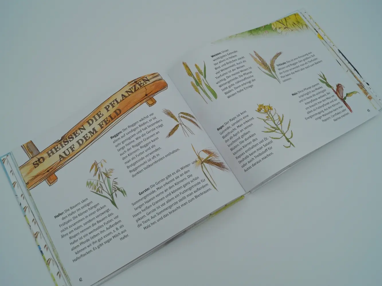 Bild: 9783784356365 | Marike und Julius: Entdecke mit uns den Bauernhof | Höner Guido | Buch