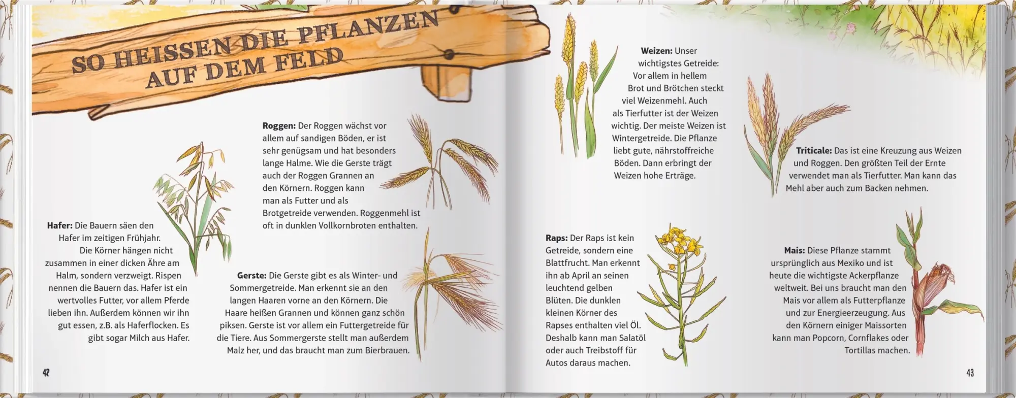 Bild: 9783784356365 | Marike und Julius: Entdecke mit uns den Bauernhof | Höner Guido | Buch