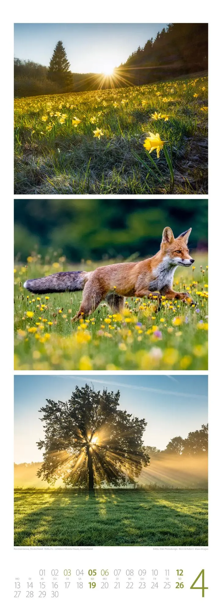 Bild: 9783838426365 | Waldleben - Ein Spaziergang durch heimische Wälder Triplet-Kalender...