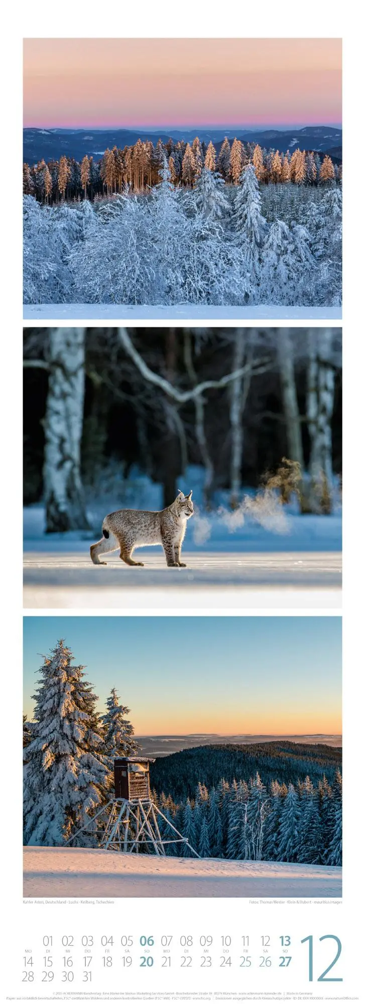 Bild: 9783838426365 | Waldleben - Ein Spaziergang durch heimische Wälder Triplet-Kalender...