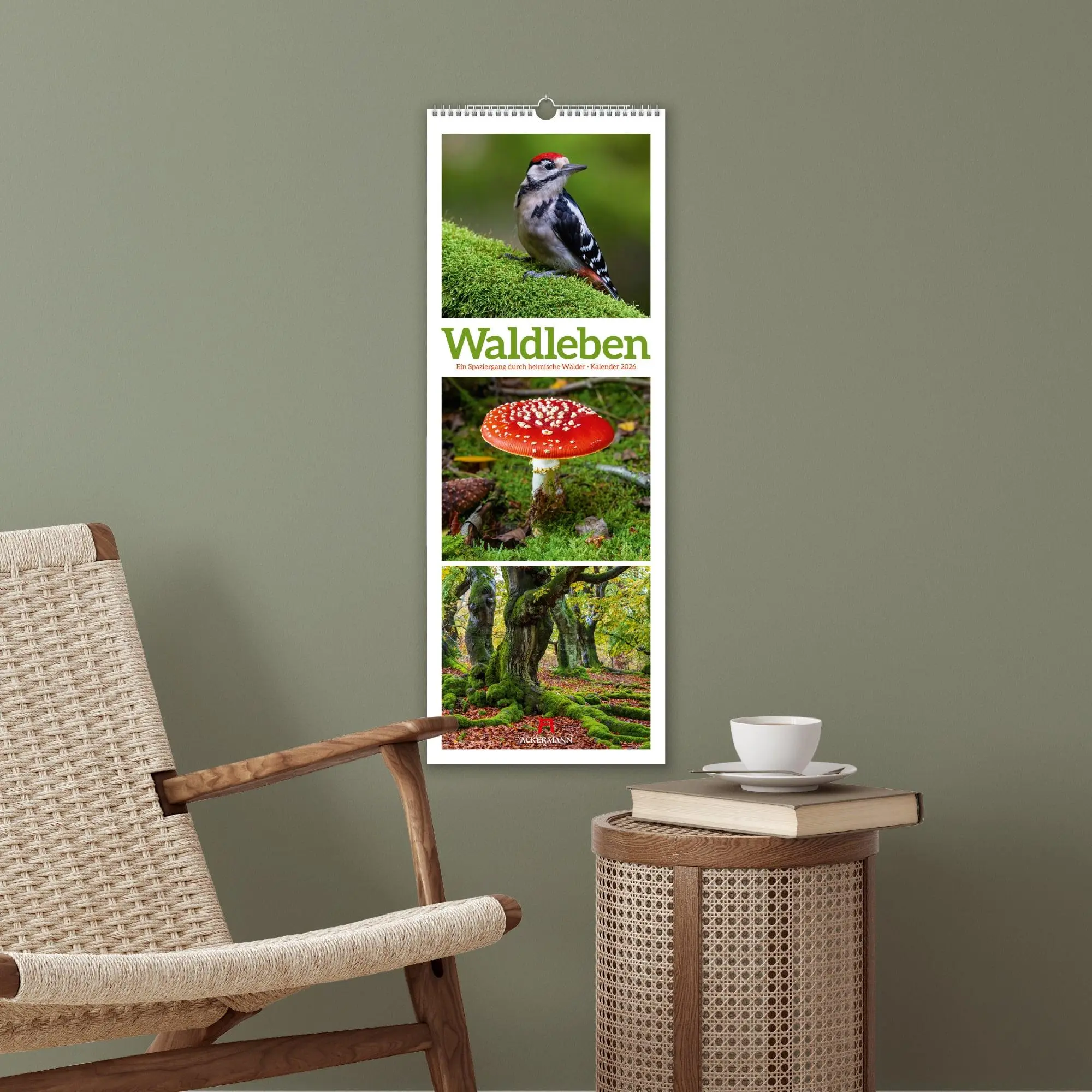 Bild: 9783838426365 | Waldleben Triplet-Kalender 2026 Spaziergang durch heimische Wälder