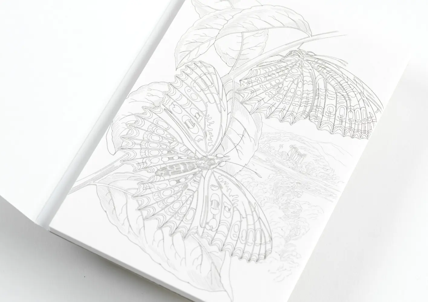 Bild: 9789460096365 | Natural History | Watercolour Postcard Book / Postkarten - Malbuch