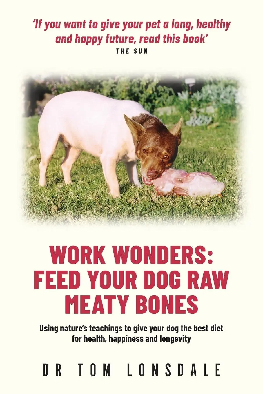 Cover: 9780645726565 | Work Wonders | Feed Your Dog Raw Meaty Bones | Tom Lonsdale | Buch