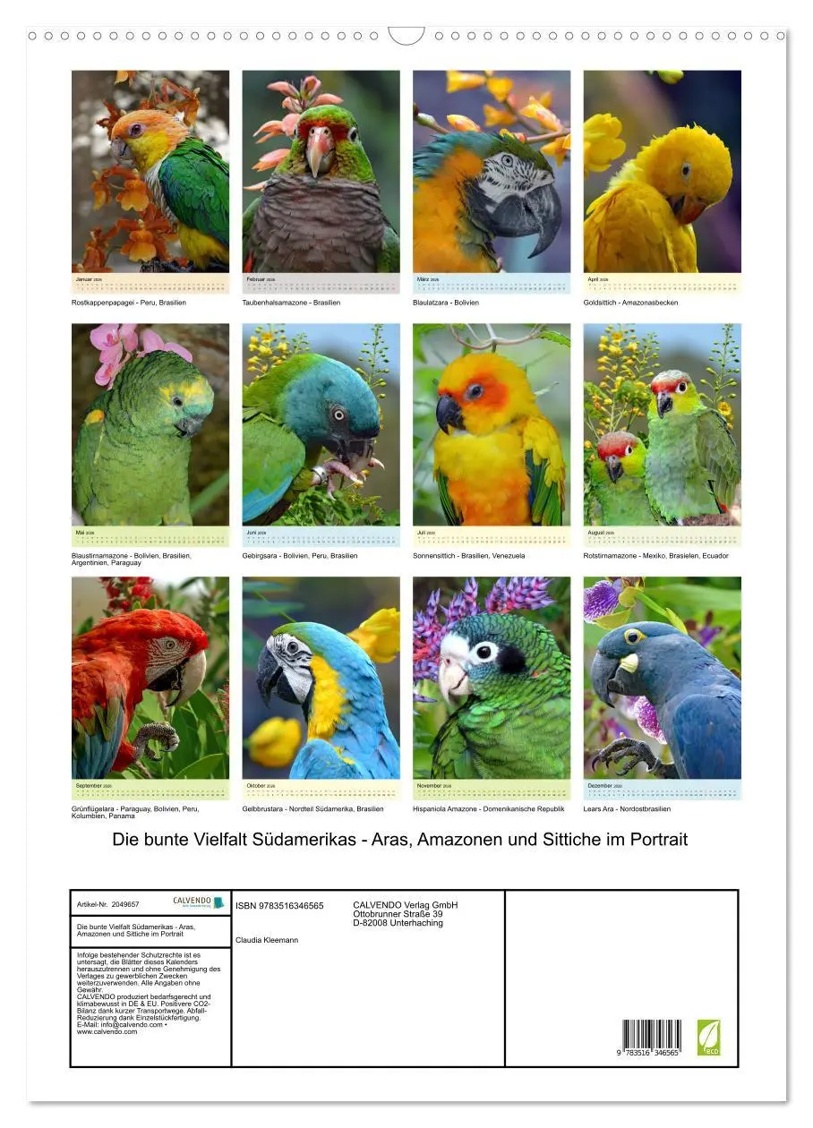 Bild: 9783516346565 | Die bunte Vielfalt Südamerikas - Aras, Amazonen und Sittiche im...