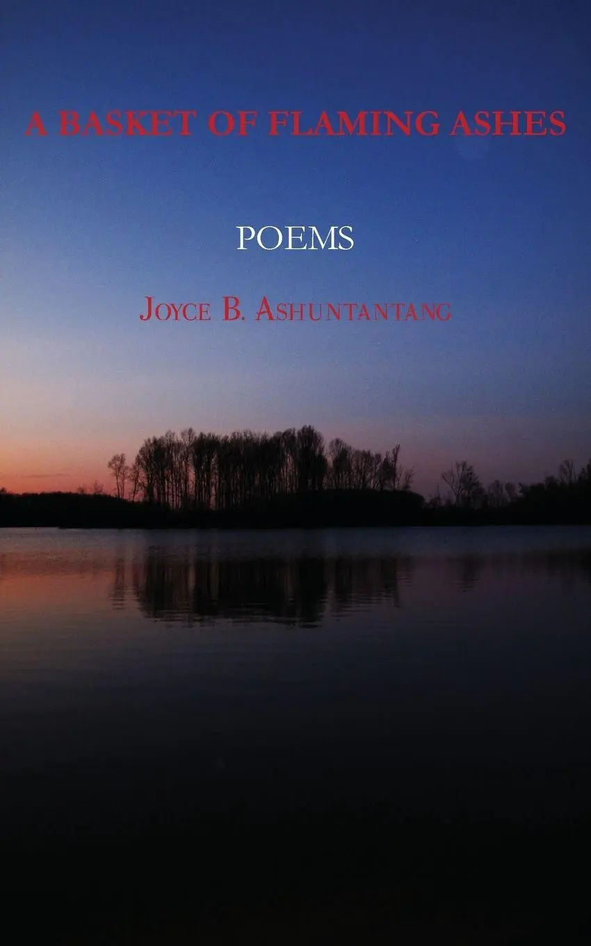 Cover: 9789956616565 | A Basket of Flaming Ashes | Joyce B. Ashuntantang | Taschenbuch | 2010