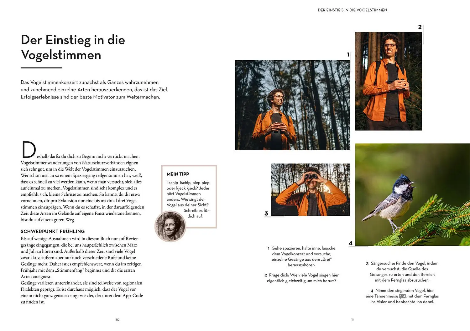 Bild: 9783440176665 | Vögel bestimmen mit den Ohren | Philipp Herrmann | Taschenbuch | 2025