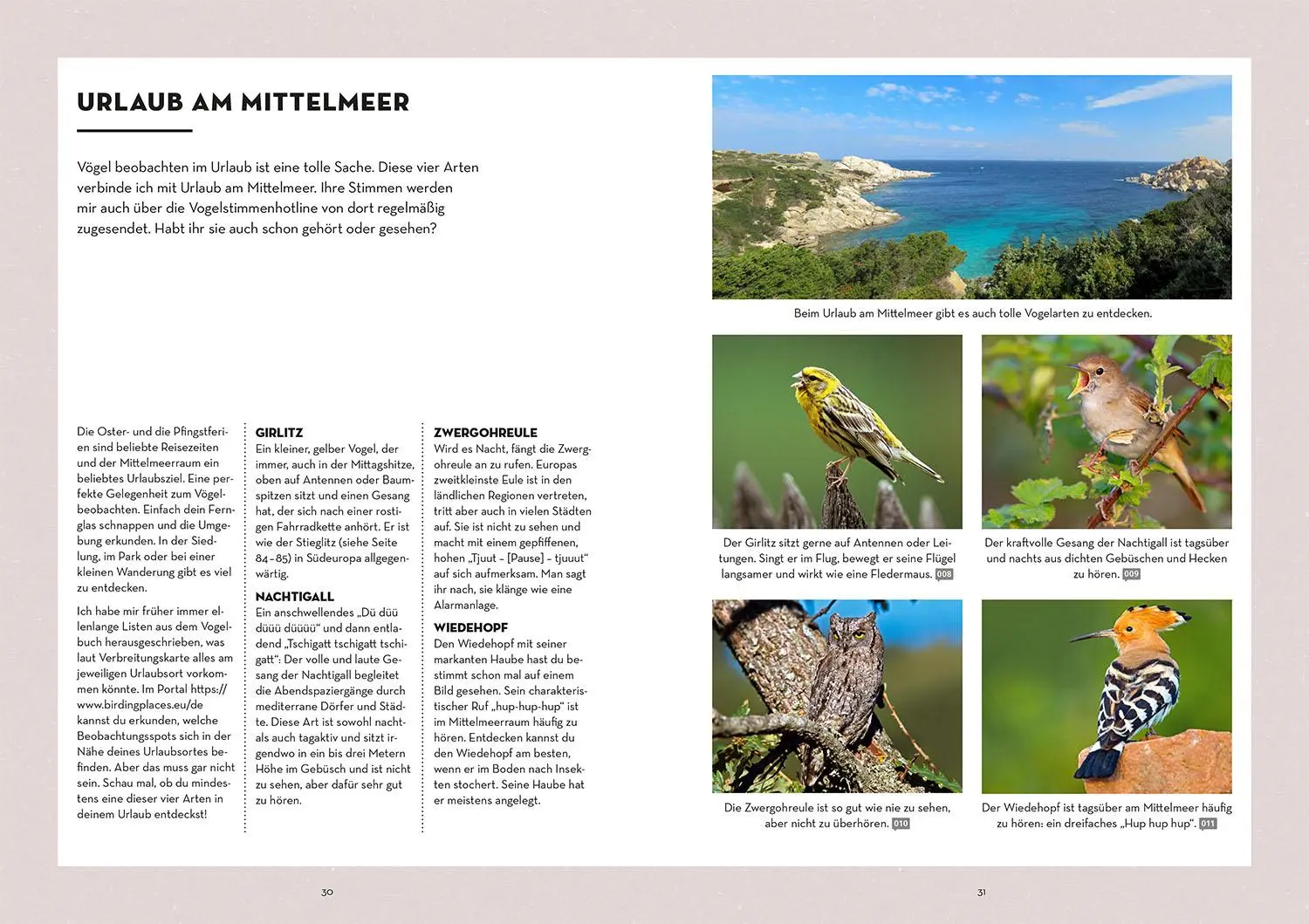 Bild: 9783440176665 | Vögel bestimmen mit den Ohren | Philipp Herrmann | Taschenbuch | 2025