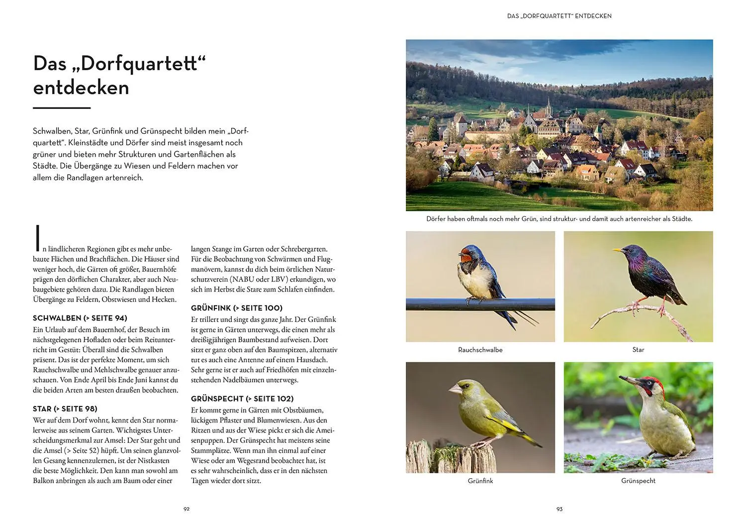 Bild: 9783440176665 | Vögel bestimmen mit den Ohren | Philipp Herrmann | Taschenbuch | 2025