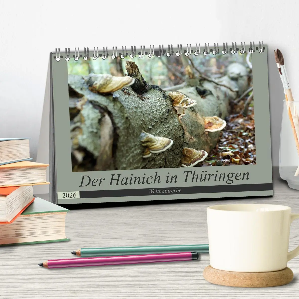 Bild: 9783457866665 | Der Hainich in Thüringen - Weltnaturerbe (Tischkalender 2026 DIN A5...