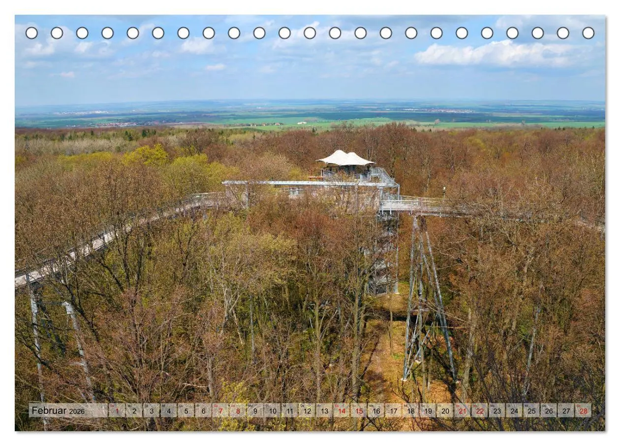 Bild: 9783457866665 | Der Hainich in Thüringen - Weltnaturerbe (Tischkalender 2026 DIN A5...