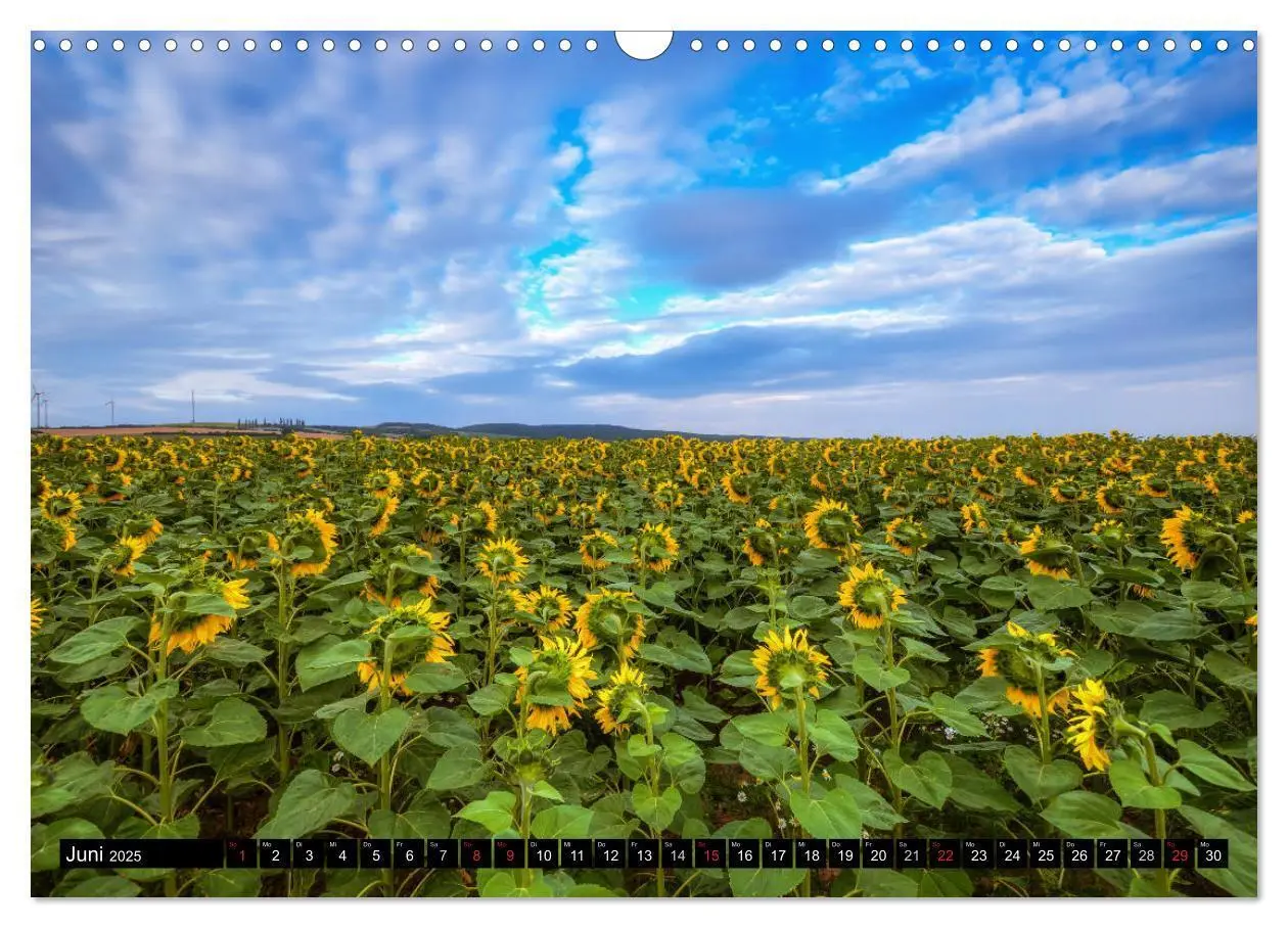 Bild: 9783435696765 | Zeit für Sonnenblumen (Wandkalender 2025 DIN A3 quer), CALVENDO...