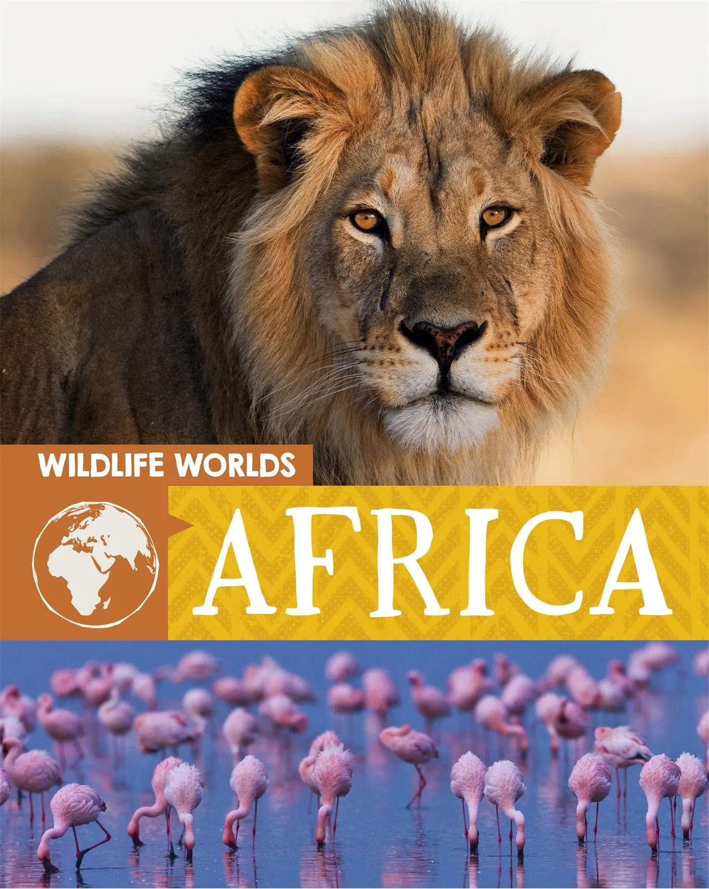 Cover: 9781445166865 | Wildlife Worlds: Africa | Tim Harris | Taschenbuch | Englisch | 2020