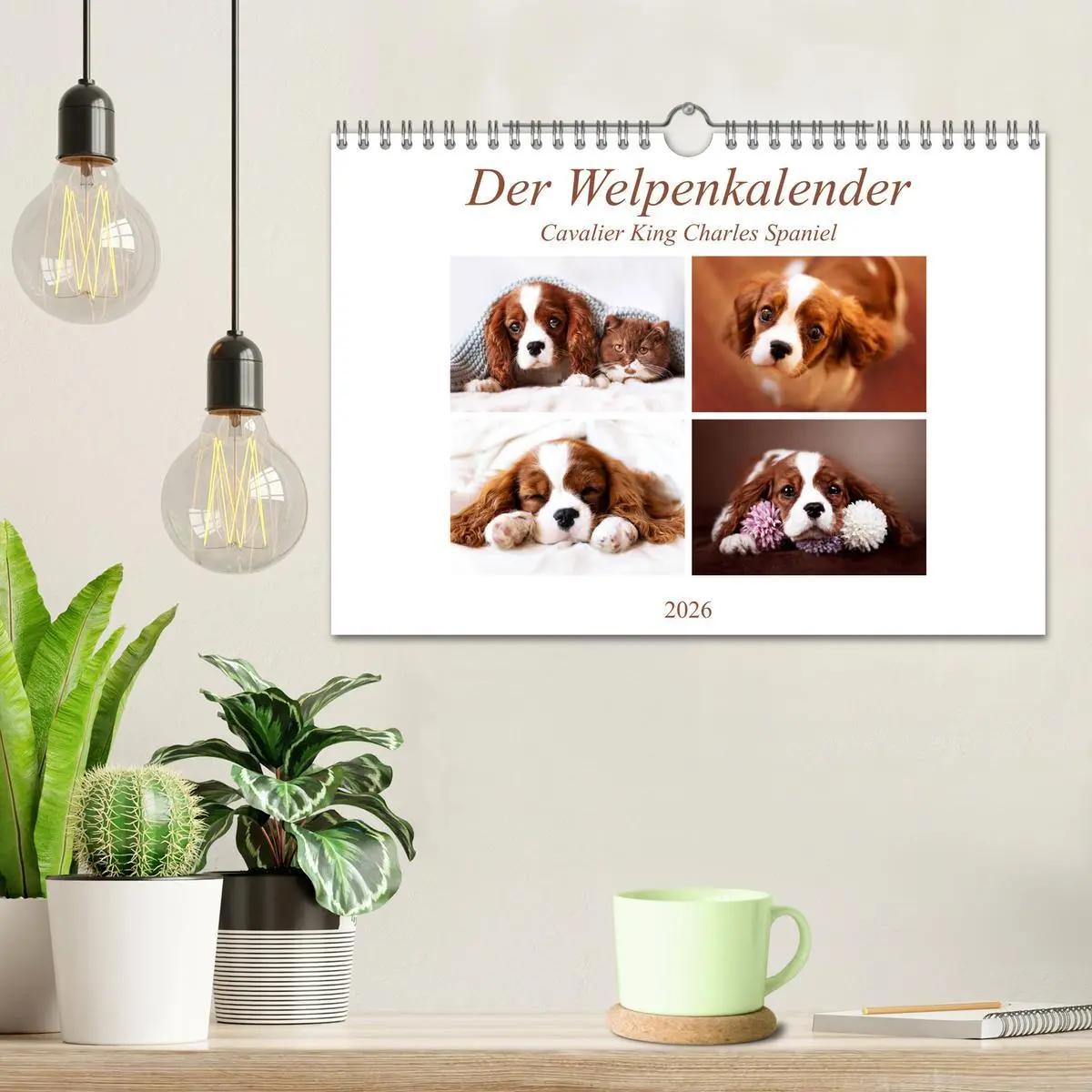 Bild: 9783457916865 | Der Welpenkalender - Cavalier King Charles Spaniel (Wandkalender...
