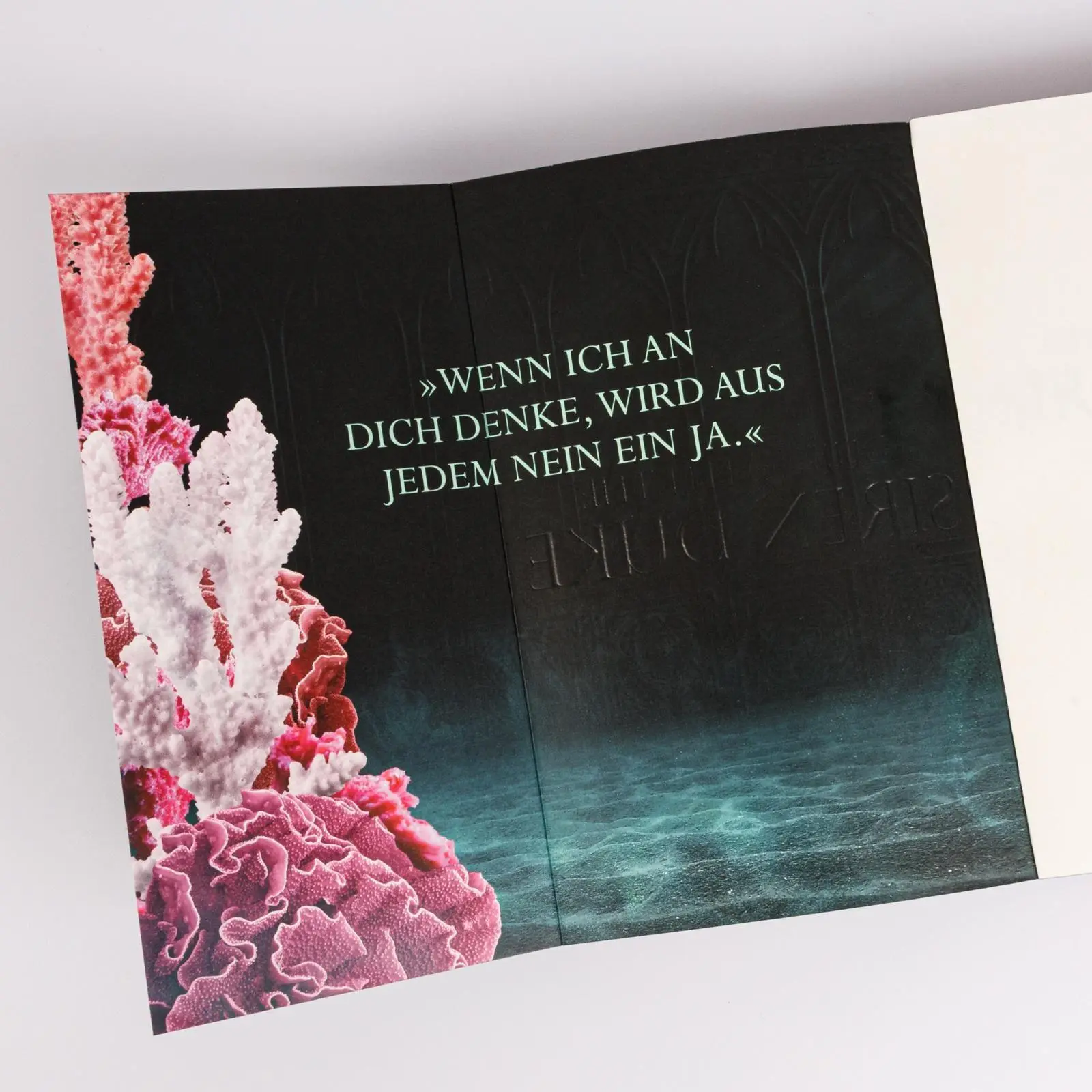 Bild: 9783551586865 | Married into Magic: Duet with the Siren Duke | Elise Kova | Buch